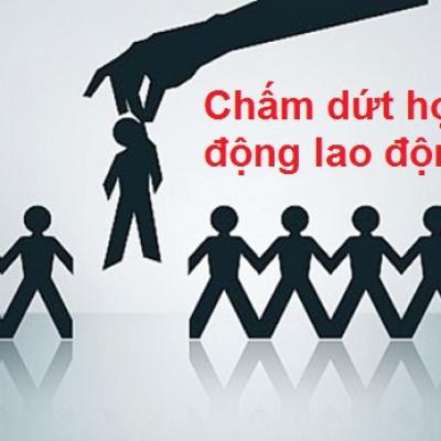 LAO ĐỘNG CHO DOANH NGHIỆP